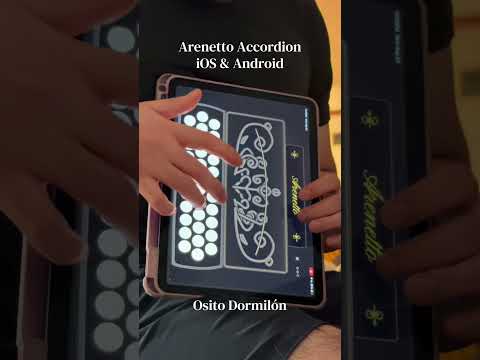 Osito Dormilón — Arenetto Accordion